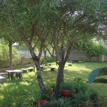 Grazia Deledda Bed and Breakfast Galtellì Buitenkant foto