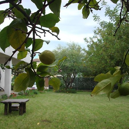 Grazia Deledda Bed and Breakfast Galtellì Buitenkant foto