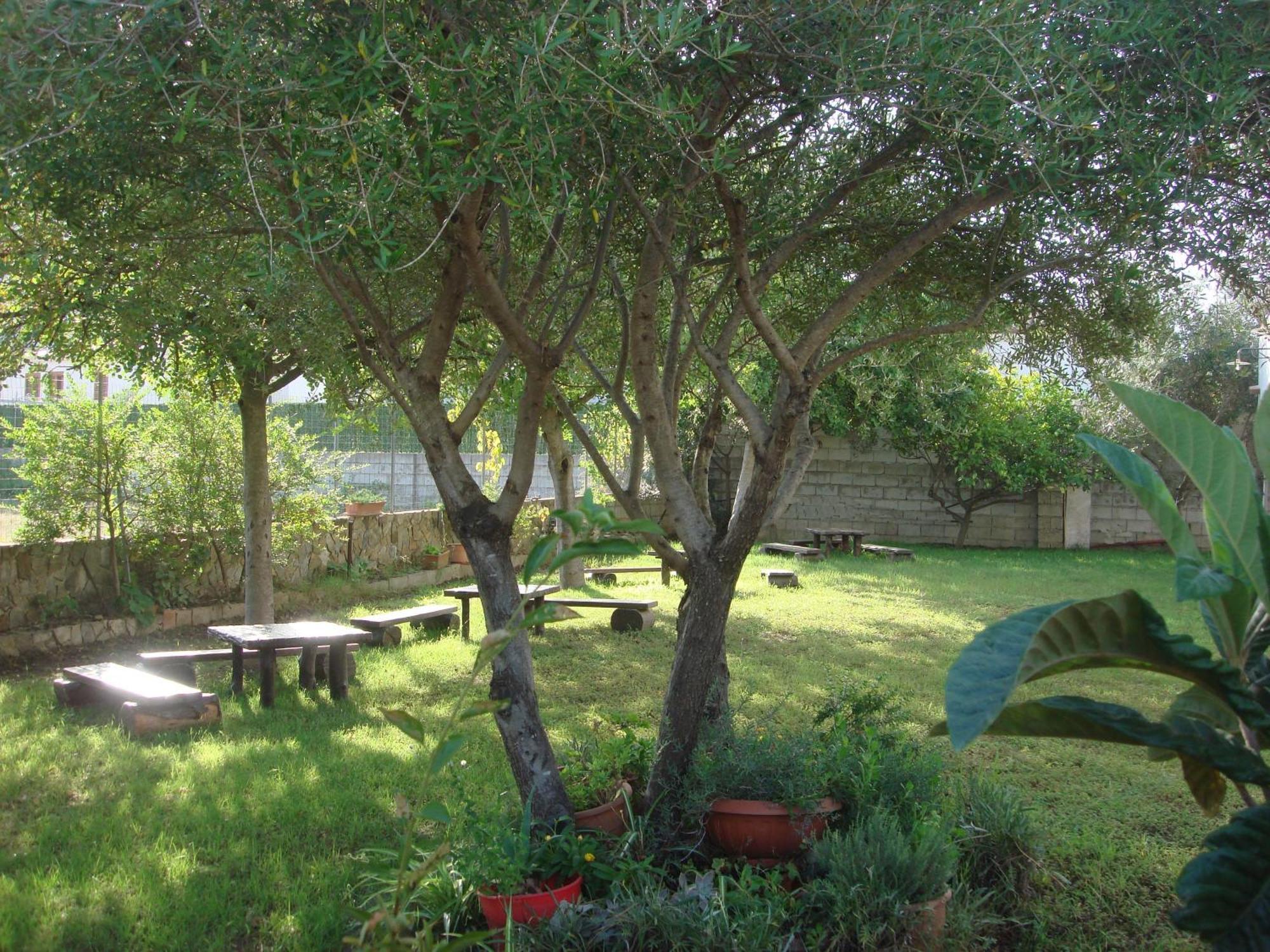 Grazia Deledda Bed and Breakfast Galtellì Buitenkant foto
