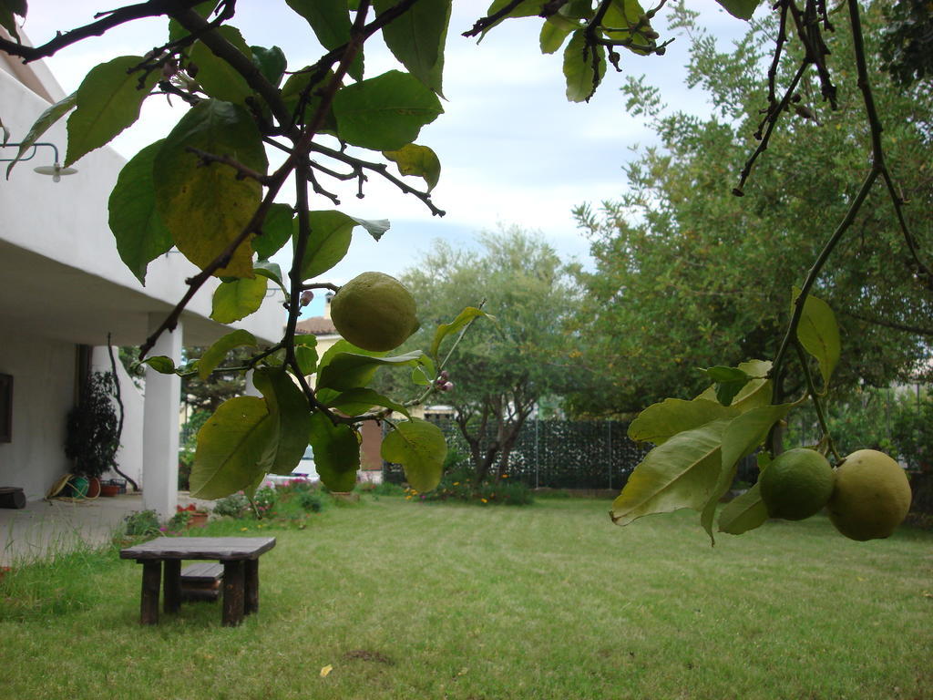 Grazia Deledda Bed and Breakfast Galtellì Buitenkant foto